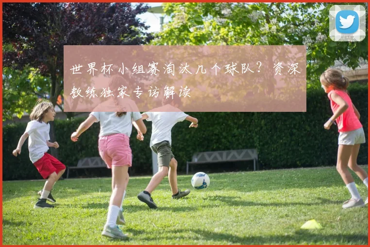 世界杯小组赛淘汰几个球队？资深教练独家专访解读